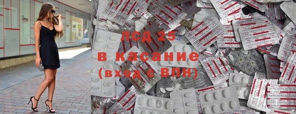 крисы Алзамай