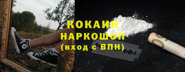 твердый Алексеевка