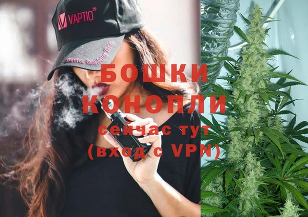 крисы Алзамай