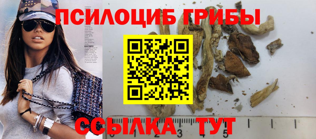 Галлюциногенные грибы Psilocybe Керчь