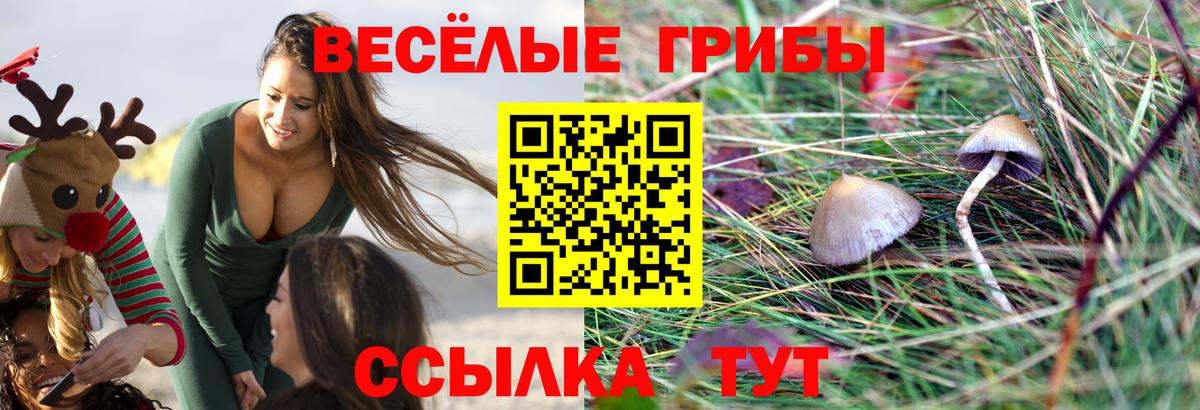 Керчь  Псилоцибиновые грибы ЛСД  Вход с VPN 